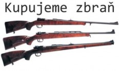 Jakou zbraň koupit? část 2.