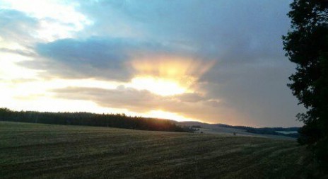 O konkurzu na šéfa NP Šumava rozhodne ministr Brabec v březnu