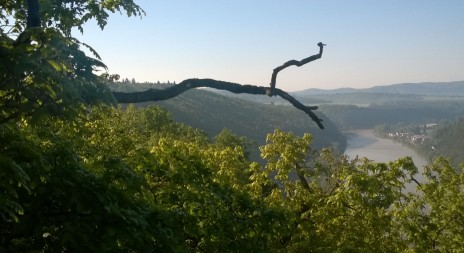 Stanovisko obcí, zda chtějí NP Křivoklátsko, bude známé letos