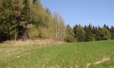 Nová honitba Bedřichov na webu