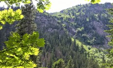 Zachovalá příroda Českého lesa je již deset let pod ochranou CHKO