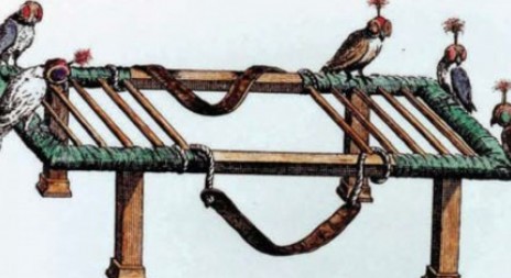 SERIÁL: Sokolnictví na nynějším území Čech a Slovenska (1539 - 1753) v pozdním středověku