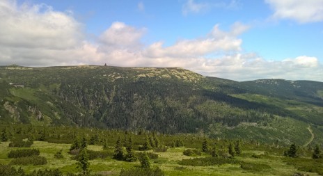 Kvůli vedrům vznikají ve středních Čechách napajedla pro zvěř