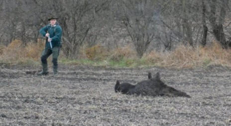 Vyhlašujeme vítěze soutěže o nejhezčí fotku s mysliveckou tématikou