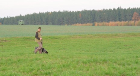 Představujeme Bc. Matěje Kollárika 