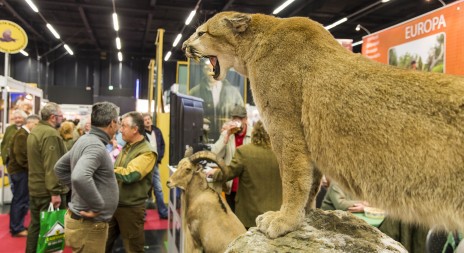 Sleva na myslivecký a rybářský veletrh Hohe Jagd & Fischerei