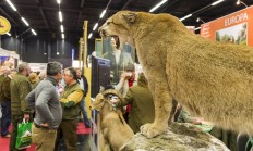 Sleva na myslivecký a rybářský veletrh Hohe Jagd & Fischerei