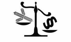 Nová otázka v právní poradně: Hlasování v MS dle nového OZ