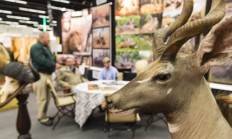 Pozvánka na veletrh Die HOHE JAGD & Fischerei  do Salzburgu