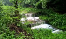 Pozvánka na Natura Viva 18. - 22.5 2016