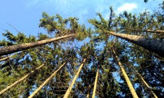 Pozvánka na 14. mezinárodní lesnický a myslivecký veletrh 3. - 7. 4. 2016