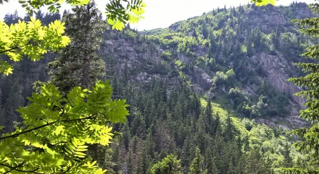 Přijďte na 21. ROČNÍK VÝSTAVY NATURA VIVA