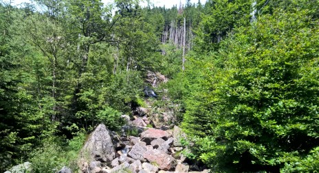 21. ROČNÍK VÝSTAVY NATURA VIVA v Lysé nad Labem