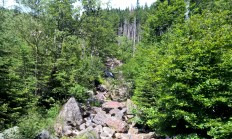 21. ROČNÍK VÝSTAVY NATURA VIVA v Lysé nad Labem