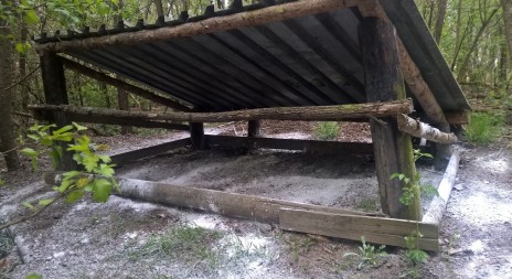 Do konce dubna mají být vyčištěna (vydesinfikována) krmná zařízení pro zvěř
