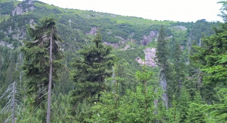 Petice proti zvyšování pokut za vstup do lesa má 35.000 podpisů