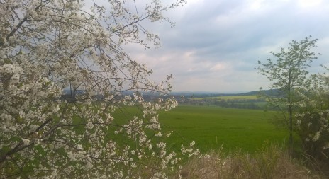 21. ROČNÍK VÝSTAVY NATURA VIVA již příští týden