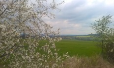 21. ROČNÍK VÝSTAVY NATURA VIVA již příští týden