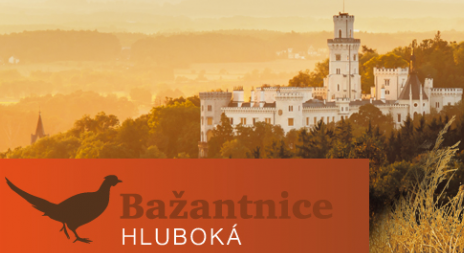 Nabídka vajec a kuřat bažantů k prodeji