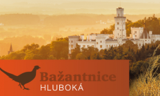 Nabídka vajec a kuřat bažantů k prodeji