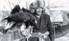 Renesance sokolnictví v zemích bývalého Sovětského svazu