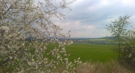 21. ROČNÍK VÝSTAVY NATURA VIVA začíná již zítra