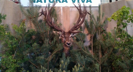 Navštívili jsme Natura Viva v Lysé nad Labem