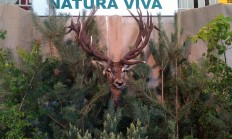 Navštívili jsme Natura Viva v Lysé nad Labem