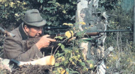 Puškové dalekohledy