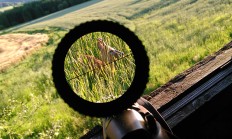 Fotogalerie z naší fotosoutěže