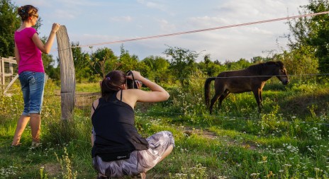 Divocí koně přilákali milovické občany do přírody.  Školky i seniory, pěší i cyklisty