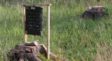 Kůrovcová kalamita nebude letos horší než loni