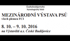 Mezinárodní výstava všech plemen FCI