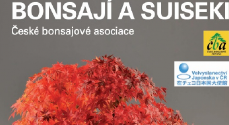 Lákadlem podzimní Florie budou bonsaje z několika zemí Evropy