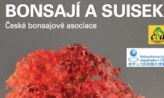 Lákadlem podzimní Florie budou bonsaje z několika zemí Evropy