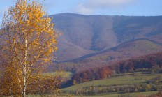 Představujeme revír Palúch na Slovensku