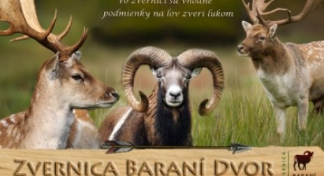 Baraní dvor na Slovensku nabízí poplatkový odstřel