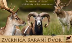 Baraní dvor na Slovensku nabízí poplatkový odstřel