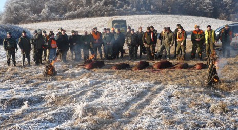 Navštivte revír Panica - Valice na Slovensku