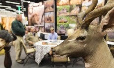 Pozvánka na veletrh HOHE JAGD & FISCHEREI v Salzburgu i Vy