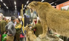 Pozvánka na veletrh Die HOHE JAGD & Fischerei do Salzburgu 16. - 19. 2. 2017