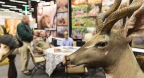 Pozvánka na veletrh HOHE JAGD & FISCHEREI v Salzburgu