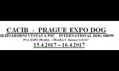 MEZINÁRODNÍ VÝSTAVA PSŮ -  INTERNATIONAL DOG SHOW