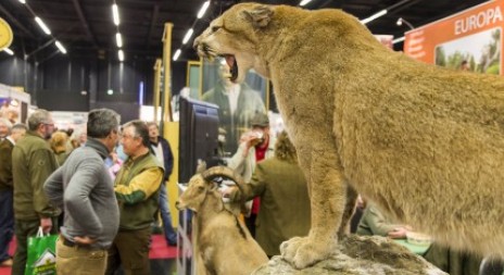 Veletrh HOHE JAGD & FISCHEREI v Salzburgu již příští týden