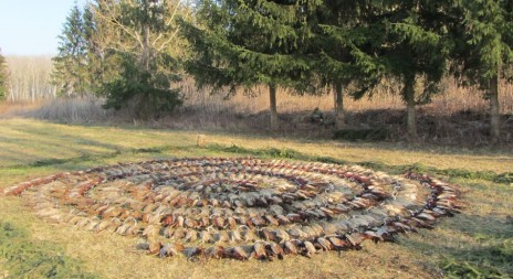 Představujeme bažantnici Pavlovce nad Uhom na Slovensku