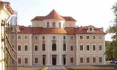 Hřbet z muflona, bramborový fondant, dýňové pyré, omáčka z červeného vína