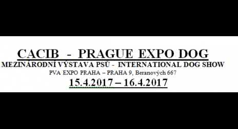 VÝSTAVA PSŮ - INTERNATIONAL DOG SHOW