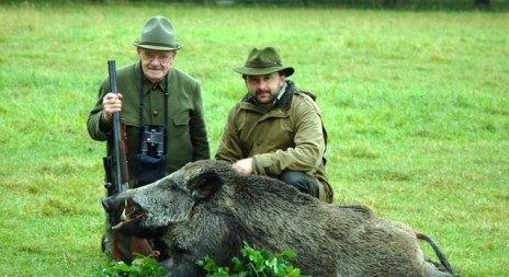 Loňské úlovky z Lánské obory