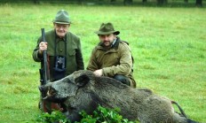 Loňské úlovky z Lánské obory