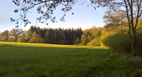 Klimatolog: Zemědělci musí čelit tomu, že vody v půdě bude méně